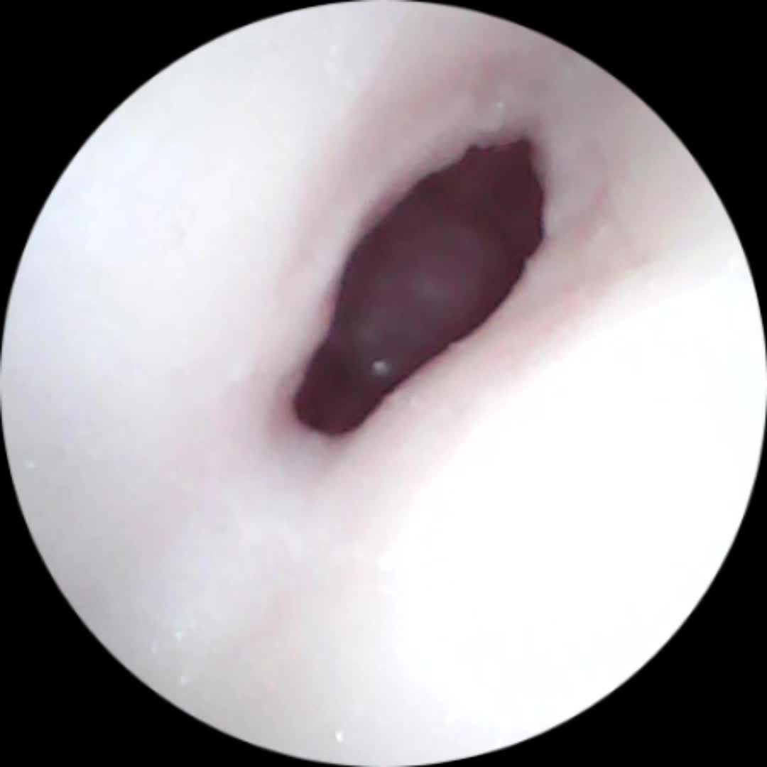 SA工坊新品推荐！芙莉尼（SE）版，兼顾刺激与慢玩的调节玩法，特设柔珠！抛弃传统的突破式设计，通过塞入柔珠！来增加整体内道的体感！不论是撞击时还是静止时用柔珠磨动都能带来完全不一样的体感！