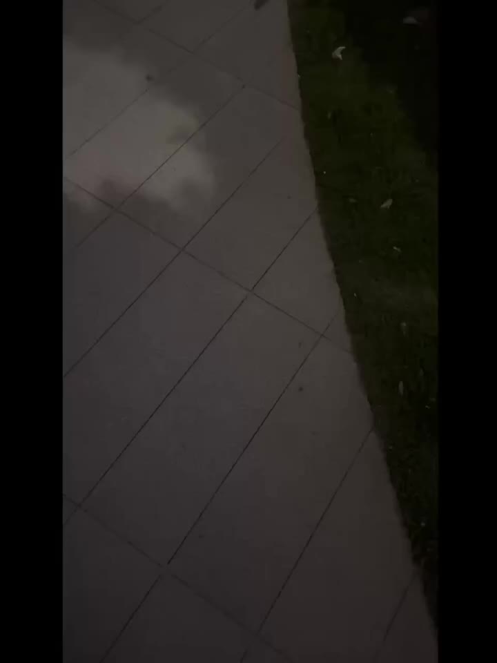 楼道 小皮鞋 白袜 裸足 口交 足交 对白清晰 中文字幕