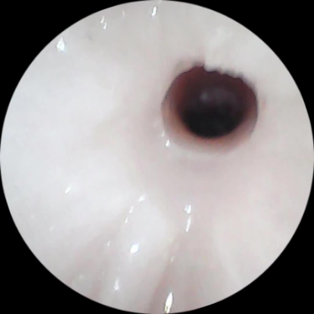 SA工坊！真人内道仿真体感返厂啦！（为了庆祝打赢复活赛，本期返厂期间抽奖5名兄弟们进行面单！）